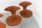 Orbit Dining Chairs in Walnut by Ross Lovegrove for Bernhardt Design, 2006, Set of 8 14