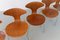 Orbit Dining Chairs in Walnut by Ross Lovegrove for Bernhardt Design, 2006, Set of 8 13