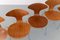 Orbit Dining Chairs in Walnut by Ross Lovegrove for Bernhardt Design, 2006, Set of 8 12
