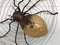 Spider Wall Light in Iron and Amber Glass, 1970s 7
