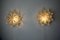 Apliques con estrellas de Murano de vidrio esmerilado, Italia, años 70. Juego de 2, Imagen 2