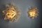 Murano Star Sconces in Frosted Glass, Italy, 1970s, Set of 2 6