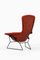 Sedia Easy Bird in metallo laccato nero e tessuto rosso attribuita a Harry Bertoia, anni '50, Immagine 4