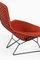 Easy Bird Chair in Black Lacquered Metal and Red Fabric attributed to Harry Bertoia, 1950s 5