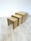 Nesting Coffee Tables by Tommaso Barbi, Set of 3 1