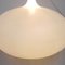 Large Hanging Lamp No Fruit by Anthony Duffeleer for Dark, 2000s 11