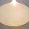 Large Hanging Lamp No Fruit by Anthony Duffeleer for Dark, 2000s, Image 11