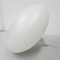 Large Hanging Lamp No Fruit by Anthony Duffeleer for Dark, 2000s 4
