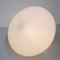 Large Hanging Lamp No Fruit by Anthony Duffeleer for Dark, 2000s, Image 10