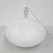 Large Hanging Lamp No Fruit by Anthony Duffeleer for Dark, 2000s 1