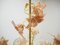 Mid-Century Flowers Chandelier in Glass and Brass, 1960s 5