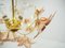 Mid-Century Flowers Chandelier in Glass and Brass, 1960s 7