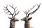 Life-Size Stags, 1980s, Bronze, Set of 2 4