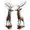 Life-Size Stags, 1980s, Bronze, Set of 2 1