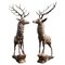 Life-Size Stags, 1980s, Bronze, Set of 2, Image 1