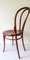 Austrian Nr. 18 Chair from Thonet, Image 2