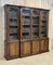 Large Antique English Library in Mahogany, 1800s 2