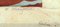 Rudolf Hayder, Airone, inizio XX secolo, xilografia, Immagine 5