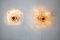 Albano Poli Sconces for Poliarte, Italy, 1970s, Set of 2, Image 6
