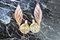 Pink Leaf Sconces from Mazzega Murano, Italy, 1970s Set of 2, Image 7