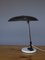 Mid-Century Nedalo Industrial Desk Lamp, 1950s 14