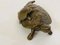 Figurine Vienna Antique Tortue et Chien en Bronze, 1890s, Set de 2 4