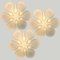 Weiße Gänseblümchen Wandlampe aus Keramikglas, Belga, 1920er 4