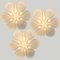 Weiße Gänseblümchen Wandlampe aus Keramikglas, Belga, 1920er 2