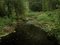 Ellie Davies, Chalk Streams 10, Photograph, 2023, Image 1