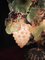 Lampada a forma di uva di Murano, Italia, metà del XX secolo, Immagine 12