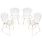 Vintage Garden Chairs by Harry Bertoia for Knoll International, 1950s, Set of 4 1