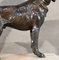 Art Deco Deutscher Schäferhund aus Bronze, 1940 14