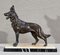 Art Deco Deutscher Schäferhund aus Bronze, 1940 1