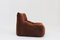 Aralia Armchair by Michel Ducaroy for Ligne Roset 8