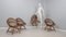 Mid-Century Shell-Shaped Chair in Rattan attributed to Franco Albini, 1950s, Set of 4 3