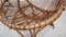 Mid-Century Shell-Shaped Chair in Rattan attributed to Franco Albini, 1950s, Set of 4, Image 11