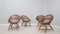 Mid-Century Shell-Shaped Chair in Rattan attributed to Franco Albini, 1950s, Set of 4 1