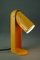 Flip Top Desk Lamp by Richard Carruthers for Leuka, 1970s 2
