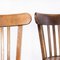 Luterma Dining Chairs in Oak and Bentwood by Marcel Breuer, 1950s, Set of 2 2