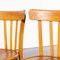 Luterma Honey Dining Chairs in Oak and Bentwood by Marcel Breuer, 1950s, Set of 4 5