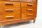 Vintage Lab Storage Cupboard in Oak and Beech, 2010 5