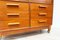 Vintage Lab Storage Cupboard in Oak and Beech, 2010, Image 5