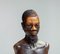 African Carved Male Bust in Rosewood, 1970s 2