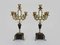 Napoleon III Candelabras with 5 Bronze Branches and Marble, 1890s, Set of 2 7