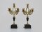 Napoleon III Candelabras with 5 Bronze Branches and Marble, 1890s, Set of 2 1