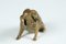 Antique Bronze Sculpture of Sitting Pig signed by L.Carvin for Suisse Frères, 1910 8