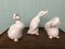 Ceramic Ducks from Ahura, Italy, 1980s, Set of 3 18