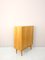Vintage Credenza with Double Doors, 1960s, Image 5