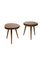 Tree Trunk Slice Side Tables in Mahogany, 1952, Set of 2 1