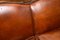 Antique Swedish Leather Bergere Sofa, 1910 10